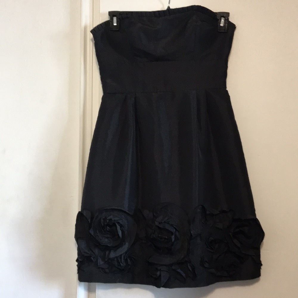 Beautiful Max and Cleo dress